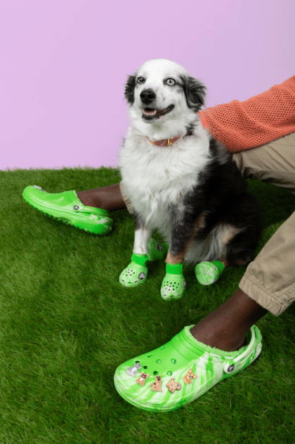 Crocs perritos Fast Company México