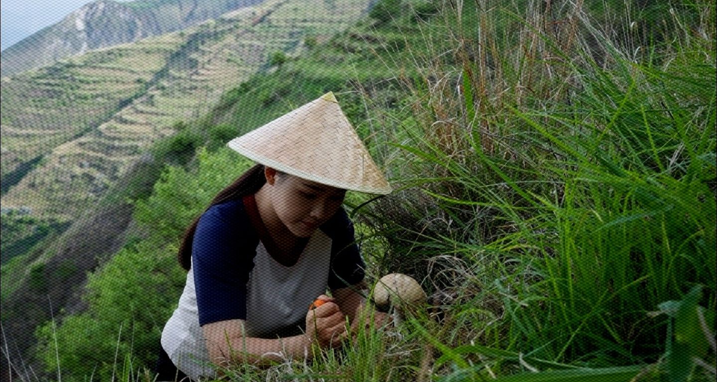 El “nuevo agricultor”: los influencers de la China rural romantizan la vida en el campo en las redes sociales